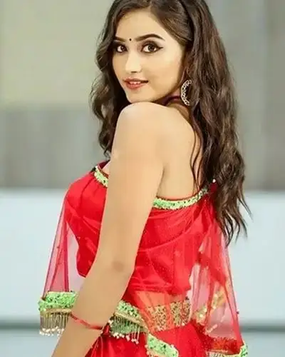 Call Girls Service Gobichettipalayam
